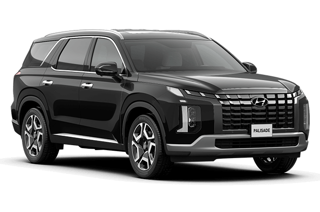 Hyundai-Palisade-mau-den